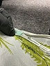 Kimchi Blue 100% Polyester Ivory White Casual Dress Size XS - photo 7