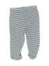 Koala Baby 100% Cotton Stripes Blue Casual Pants Size Newborn - photo 2