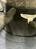 Splendid Solid Black Casual Dress Size M - photo 7