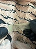 Cali Dreaming 100% Polyamide Tan Short Sleeve Top Size XS - photo 8