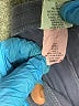 City Lights Solid Blue Active Pants Size S - photo 7