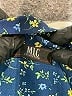 Assorted Brands Stars Blue Casual Dress Size 2 (estimated) - photo 7