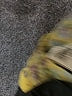 Blue Bird Yellow 3/4 Sleeve Blouse Size S - photo 8