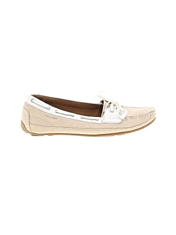 Sebago Flats (view 1)