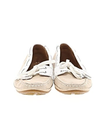 Sebago Flats (view 2)