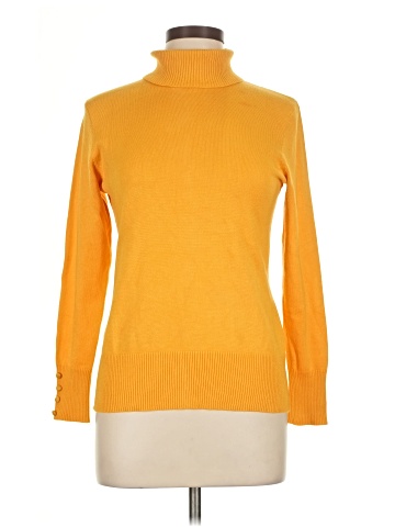 Spense Turtleneck Sweater (view 1)