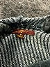 7 For All Mankind 100% Cotton Gray Pullover Sweater Size 6 - photo 3