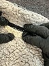 Oddi 100% Polyester Gray Fleece Size L - photo 6