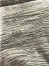 Lululemon Athletica Gray Active Pants Size 4 - photo 8