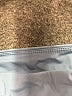 Unbranded Color Block Blue Active Pants One size - photo 6