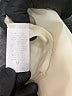 Julie's Closet 100% Polyester Ivory Sleeveless Blouse Size M - photo 8