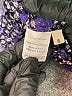 Ulla Johnson Purple Sleeveless Blouse Size 6 - photo 8