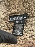 Kensie 100% Nylon Gray Tan Cardigan Size S - photo 7