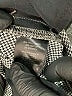 Adrienne Vittadini Solid Gray Casual Pants Size 12 - photo 5