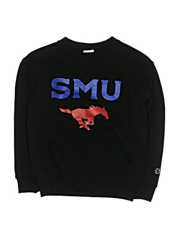 Champion Sweatshirt (view 1)