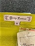 Young Essence Yellow 3/4 Sleeve T-Shirt Size M - photo 7