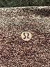 Lululemon Athletica Gray Active Pants Size 2 - photo 7