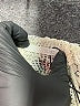 Zara Ivory Long Sleeve Top Size S - photo 6