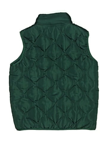 Weatherproof Vest (view 2)