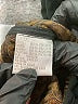 Jones New York Black Coat Size M - photo 7