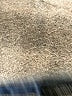 Jordache Stars Blue Jeans Size 4T - photo 3