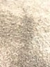 Assorted Brands Solid Orange Cocktail Dress Size 8 - photo 7