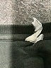 Assorted Brands Solid Black Pullover Sweater Size 1X (estimated) - photo 7