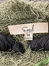 Easel Green Turtleneck Sweater Size M - photo 4