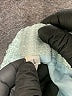 Assorted Brands Tweed Green Formal Skirt Size L - photo 4