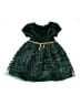 Blueberi Boulevard Green Dress Size 5 - photo 1