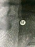 Lululemon Athletica Solid Black Active Pants Size 8 - photo 7