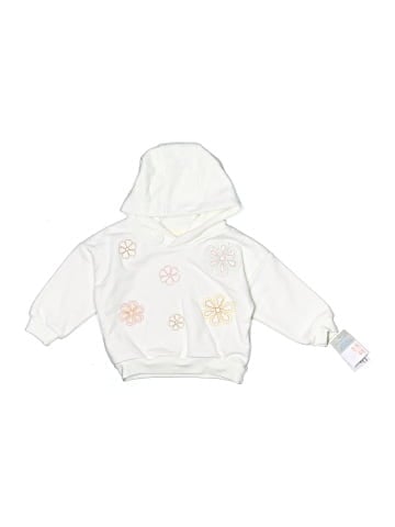 Primark Pullover Hoodie (view 1)