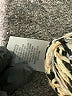 Magaschoni Tan Cardigan Size XL - photo 8