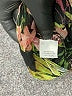Relativity 100% Polyester Black 3/4 Sleeve Blouse Size XL - photo 8