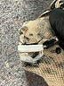 Basic Editions Animal Print Brown Pullover Sweater Size S - photo 8