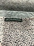 Adrianna Papell 100% Polyester Gray Tan Short Sleeve Blouse Size Lg  - photo 7