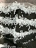 Unbranded Stripes Silver Shorts Size XL - photo 3