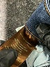 Kut from the Kloth Blue Jeans Size 8 (petite) - photo 7