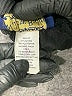 Willow Ridge Black Casual Pants Size 14 - photo 5