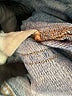 Zara TRF Blue Jeans Size 25 waist (estimated) - photo 8