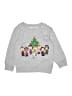 Peanuts Silver Sweatshirt Size 4T (estimated) - photo 1