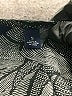 Great Northwest Indigo Gray Tank Top Size S - photo 8