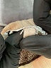 Assorted Brands 100% Acrylic Chevron-herringbone Tan Pullover Sweater Size L - photo 8