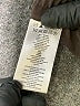 MICHAEL Michael Kors Brown Casual Pants Size M - photo 8