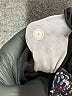 Lululemon Athletica Print Purple Active Pants Size 4 - photo 8