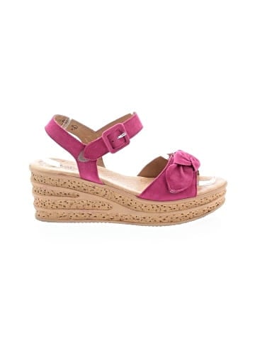 Gabor Wedges (view 1)
