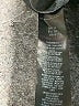 Miss Selfridge Solid Gray Shorts Size 6 - photo 4