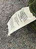 J.Crew Mercantile 100% Cotton Green Pullover Sweater Size M - photo 9