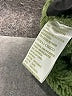 Green Tea 100% Polyester Green Fleece Size S - photo 7
