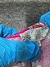 Pink Rose Paisley Pink Jumpsuit Size L - photo 4